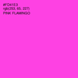 #FD41E3 - Pink Flamingo Color Image