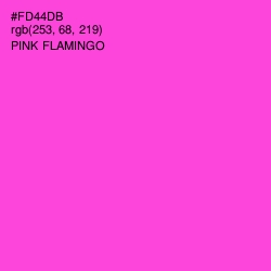 #FD44DB - Pink Flamingo Color Image