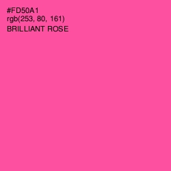 #FD50A1 - Brilliant Rose Color Image