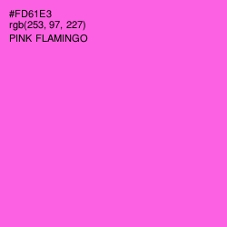 #FD61E3 - Pink Flamingo Color Image