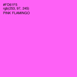 #FD61F5 - Pink Flamingo Color Image