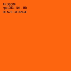 #FD650F - Blaze Orange Color Image