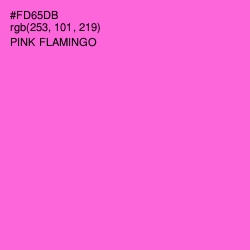 #FD65DB - Pink Flamingo Color Image