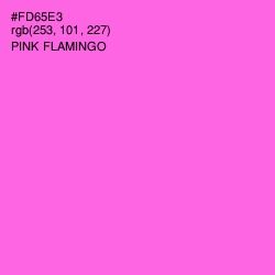 #FD65E3 - Pink Flamingo Color Image