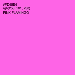 #FD65E6 - Pink Flamingo Color Image