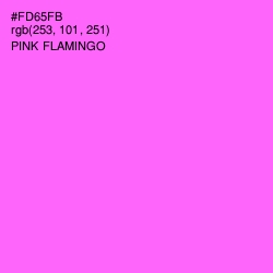 #FD65FB - Pink Flamingo Color Image