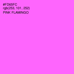 #FD65FC - Pink Flamingo Color Image