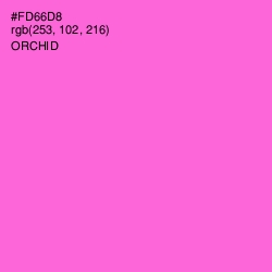 #FD66D8 - Orchid Color Image