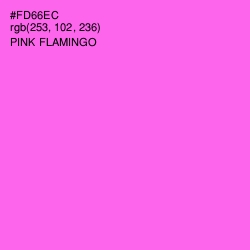 #FD66EC - Pink Flamingo Color Image