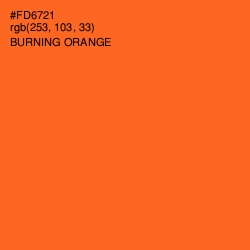 #FD6721 - Burning Orange Color Image