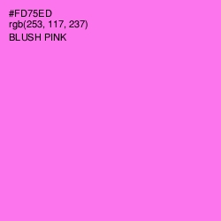 #FD75ED - Blush Pink Color Image
