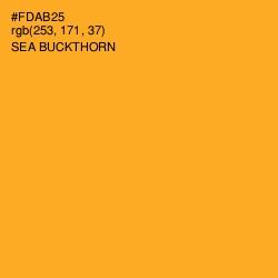 #FDAB25 - Sea Buckthorn Color Image