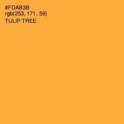 #FDAB3B - Tulip Tree Color Image