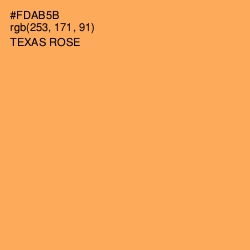 #FDAB5B - Texas Rose Color Image