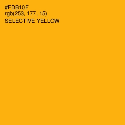 #FDB10F - Selective Yellow Color Image