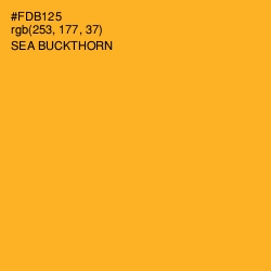 #FDB125 - Sea Buckthorn Color Image