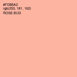 #FDB5A2 - Rose Bud Color Image