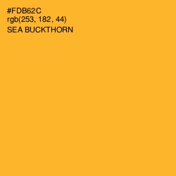 #FDB62C - Sea Buckthorn Color Image