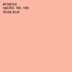 #FDB7A5 - Rose Bud Color Image