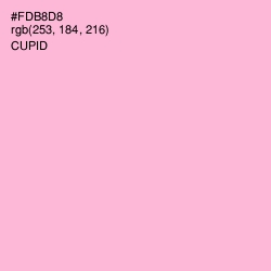 #FDB8D8 - Cupid Color Image