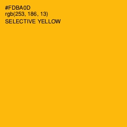 #FDBA0D - Selective Yellow Color Image