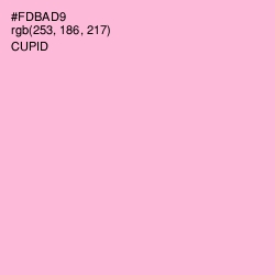 #FDBAD9 - Cupid Color Image