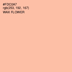 #FDC0A7 - Wax Flower Color Image