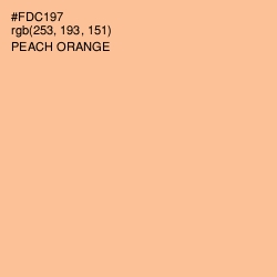 #FDC197 - Peach Orange Color Image