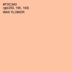 #FDC3A3 - Wax Flower Color Image