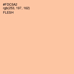 #FDC5A2 - Flesh Color Image