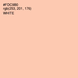 #FDC9B0 - Apricot Peach Color Image