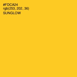 #FDCA24 - Sunglow Color Image