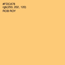 #FDCA78 - Rob Roy Color Image