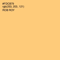 #FDCB79 - Rob Roy Color Image