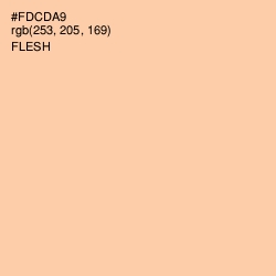 #FDCDA9 - Flesh Color Image