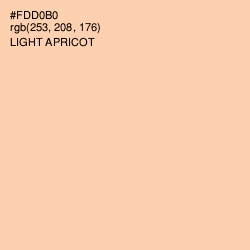 #FDD0B0 - Light Apricot Color Image