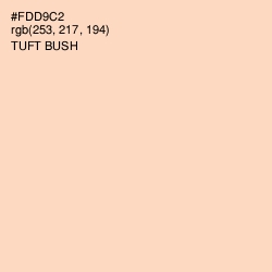 #FDD9C2 - Tuft Bush Color Image