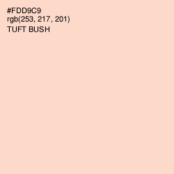 #FDD9C9 - Tuft Bush Color Image