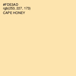 #FDE3AD - Cape Honey Color Image