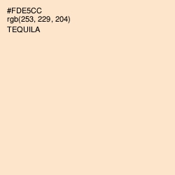 #FDE5CC - Tequila Color Image