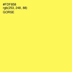 #FDF858 - Gorse Color Image