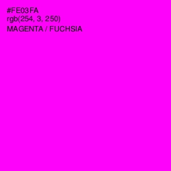 #FE03FA - Magenta / Fuchsia Color Image