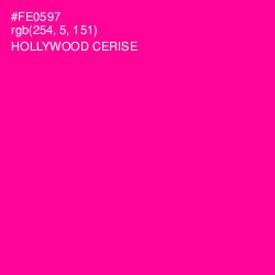 #FE0597 - Hollywood Cerise Color Image