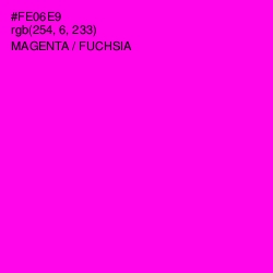 #FE06E9 - Magenta / Fuchsia Color Image