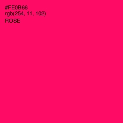 #FE0B66 - Rose Color Image