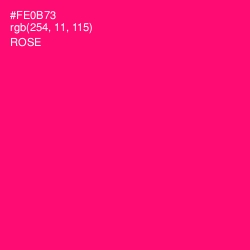 #FE0B73 - Rose Color Image