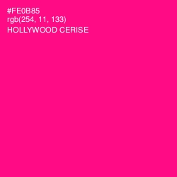 #FE0B85 - Hollywood Cerise Color Image