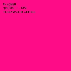 #FE0B88 - Hollywood Cerise Color Image