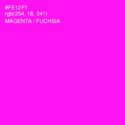 #FE12F1 - Magenta / Fuchsia Color Image