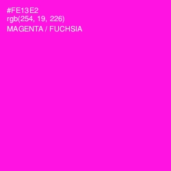 #FE13E2 - Magenta / Fuchsia Color Image